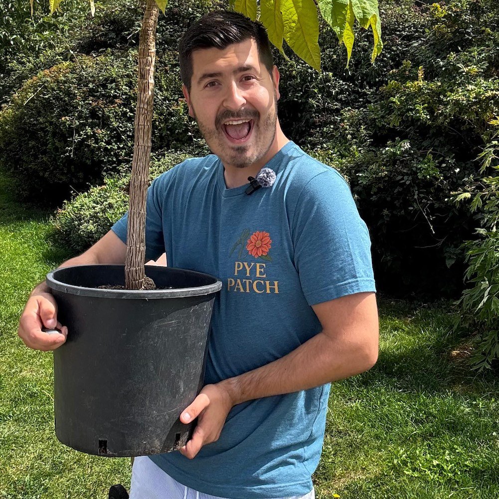 jack pye holidng plant 2